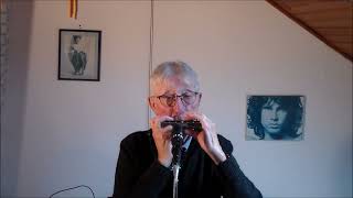 Ma Liberté  Version Serge Reggiani a lharmonica chromatique [upl. by Zelazny111]