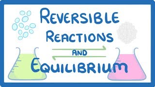 GCSE Chemistry  Reversible Reactions and Equilibrium 49 [upl. by Annaeed481]