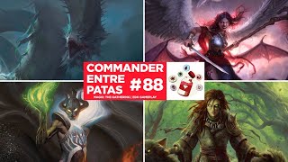 Commander Entre Patas 88  Aesi vs Kaalia vs Faldorn vs Averna  MTG  EDH [upl. by Faustine]