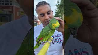 80 year old parrot finally free [upl. by Koerlin405]