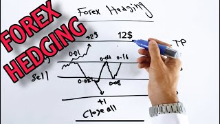 FOREX HEDGING STRATEGY [upl. by Anoet774]