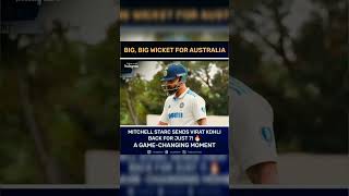 Big Big wicket for Kangaroo 🦘 bgt2024 [upl. by Tija]