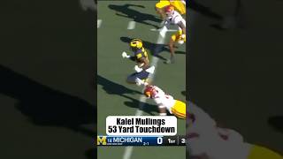 Kalel Mullings 53Yard Touchdown vs USC 〽️ Michigan Football [upl. by Ledif449]