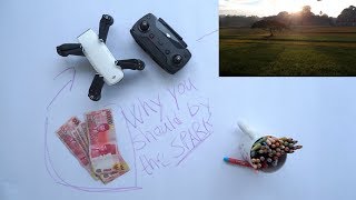 THIS IS WHY YOU SHOULD BUY DJI SPARK [upl. by Siryt]