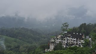 First day in Munnar  Munnar vlog in bengali 2024 [upl. by Aisatsan]