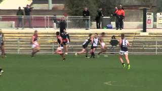 VFL Alan Didak Highlights [upl. by Carry634]