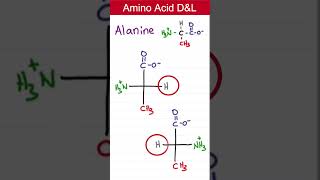 Amino Acids D amp L Configuration [upl. by Glanti611]