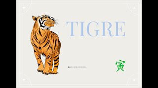 Predicciones para el signo Tigre en el Mes del Cerdo 711  512 [upl. by Sherrod305]