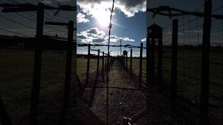 Konzentrationslager Lublin 19411944 worldwar2 history poland travel shorts shortsvideo war [upl. by Teillo]