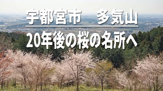 ４K映像 宇都宮市【多気山】ゆる山お花見登山🌸 多気不動尊から登る20年後の桜の名所へ💖登山の後はステーキ宮でランチ🥩🍟 [upl. by Eirrak]