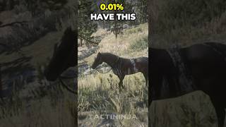 RDR2 • Overo American Paint Horse • Red Dead Redemption 2 [upl. by Elvah521]