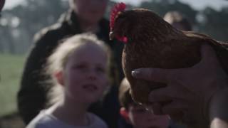 Zorgboerderij Megusta in Beerse ook voor kinderen met beperking [upl. by Ardnuaet]