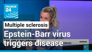 Multiple sclerosis Study finds EpsteinBarr virus triggers autoimmune disease • FRANCE 24 English [upl. by Weiser]