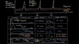 Instaurer linsuline en 5 étapes   Partie 1  Docteur Synapse [upl. by Eninahpets]
