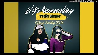 LIL G x NEMAZALÁNY  Petőfi Sándor RDawe Bootleg 2018 [upl. by Cody30]