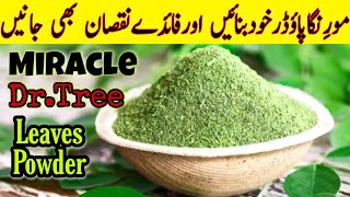 How to make Moringa Powder at Home  Drumstick leaves Powder  Moringa Leaves Powder for Cholesterol [upl. by Pope]