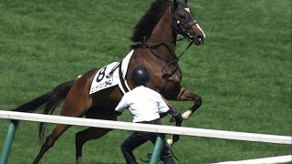 【落馬】落馬後パドックまで乱入したエリザベスバローズ 【札幌競馬場】 [upl. by Stanford]