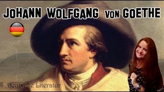 Deutsche Literatur 8  Johann Wolfgang von Goethe einfach erklärt [upl. by Lyrac]