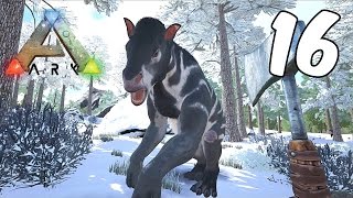 EL CHALICOTHERIUM ARK SURVIVAL EVOLVED 16 [upl. by Ahsiloc78]