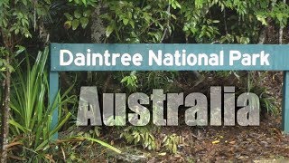 Australia Daintree Rainforest  HD [upl. by Jeromy830]