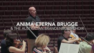 Anima Eterna Brugge  Beethoven Symphony No 9  Behind The Scenes [upl. by Jahncke332]