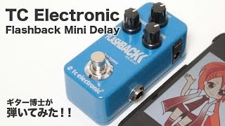 TC Electronic Flashback Mini Delay をギター博士が弾いてみた！！ [upl. by Etka]