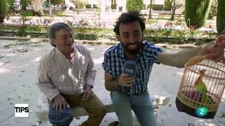 Entrevista a Joselito en Tips TVE con Rafa Rodrigo [upl. by Aneeuqahs]