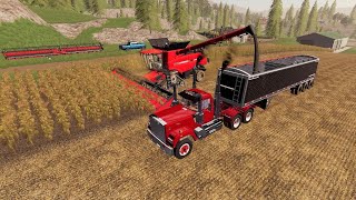 Harvest day on the 1000000 Farm  Buying pigs and more  Suits to boots 5  Farming simulator 19 [upl. by Greenes]