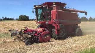 Hagley Farm Grass Seed Harvest Part 1 [upl. by Bayer]