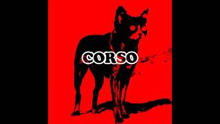 CORSO by Tyler the Creator if it was made by Ace and injected with WOLF [upl. by Macy]