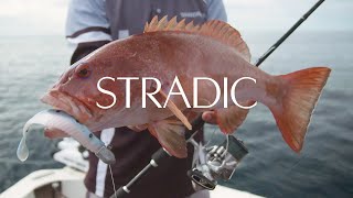 Shimano Stradic vs Shimano saragosa Review and Comparison [upl. by Llednyl713]