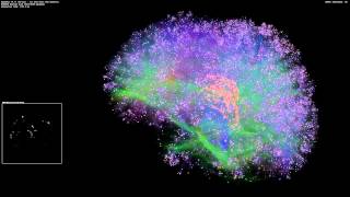 Artificial Brain Simulation  Thalamocortical System 8 Million Neurons  14 Billion Synapses [upl. by Aliek]