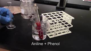 Azo Dye Synthesis Aniline with Phenol [upl. by Alexine733]