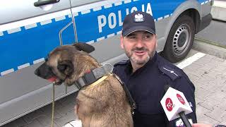 Wyniuchała dopalacze w pralce Poznajcie czworonożną policjantkę Misię 🐕‍🦺 👮🏻 [upl. by Hervey]