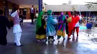 Afghan Dance on multicultural day 7th Oct 2009 [upl. by Gilmour]