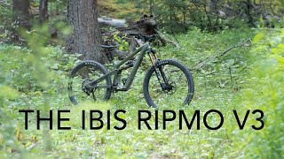 Ripmo than ever before The Ibis Ripmo V3  The Inside Line [upl. by Anerys]