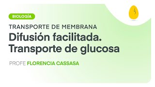 Difusión facilitada Transporte de glucosa  Biología  Transporte de Membrana  V3  Egg Educación [upl. by Francyne]