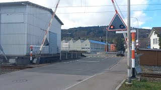 Bahnübergang Reinach AG CH  Swiss Railroad Crossing [upl. by Ydissac930]