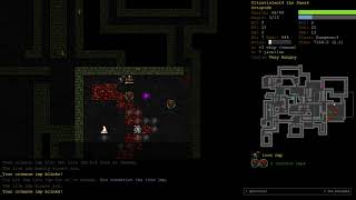 Octopode Wizard of Nemelex Part 2  Dungeon Crawl Stone Soup [upl. by Enna]