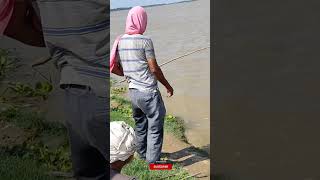 Tilapia 🐠🐋🐟 fishing tilapia fishingvideo [upl. by Hansiain]