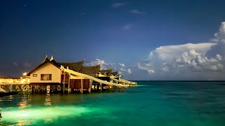 Ozen Reserve Bolifushi Maldives 4K [upl. by Llien]