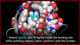 A basic introduction to drugs drug targets and molecular interactions [upl. by Cost]