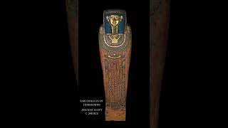 Ancient Egyptian Sarcophagus arthistory [upl. by Aihtnamas]