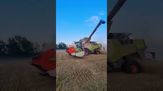 Claas Trion 660 claas trion 660 combine harvest agriculture [upl. by Grados]