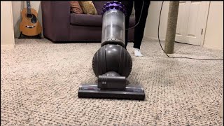 DYSON Big Ball Animal 3 hrs ASMR Vacuum Cleaning [upl. by Ttennaj]