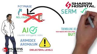 Nolvadex Tamoxifen How to use it for your PCT [upl. by Trinl560]