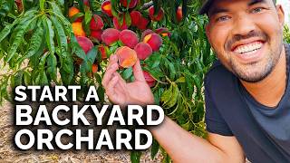 How to Start a Backyard Orchard COMPLETE GUIDE [upl. by Ddart363]