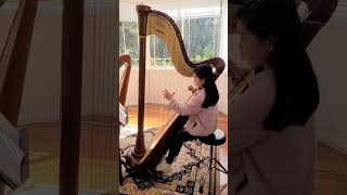 Carolans Concerto Harp [upl. by Garris]