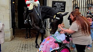 A GENTLE ACT OF KINDNESS Look at How Kings Horse Kisses Her Its as if Hes Giving Her a Blessing [upl. by Kristof224]