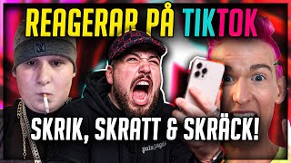 TIKTOK GER MIG SKRÄCK SKRIK OCH SKRATT HAHA ELD [upl. by Aliuqaj885]